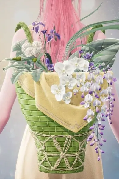 Viti velate: prima luce